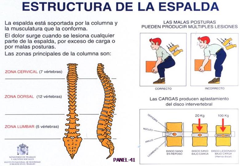 DOLOR LUMBAR TRABAJO  TRANSPARENCIAS PRESENTACION